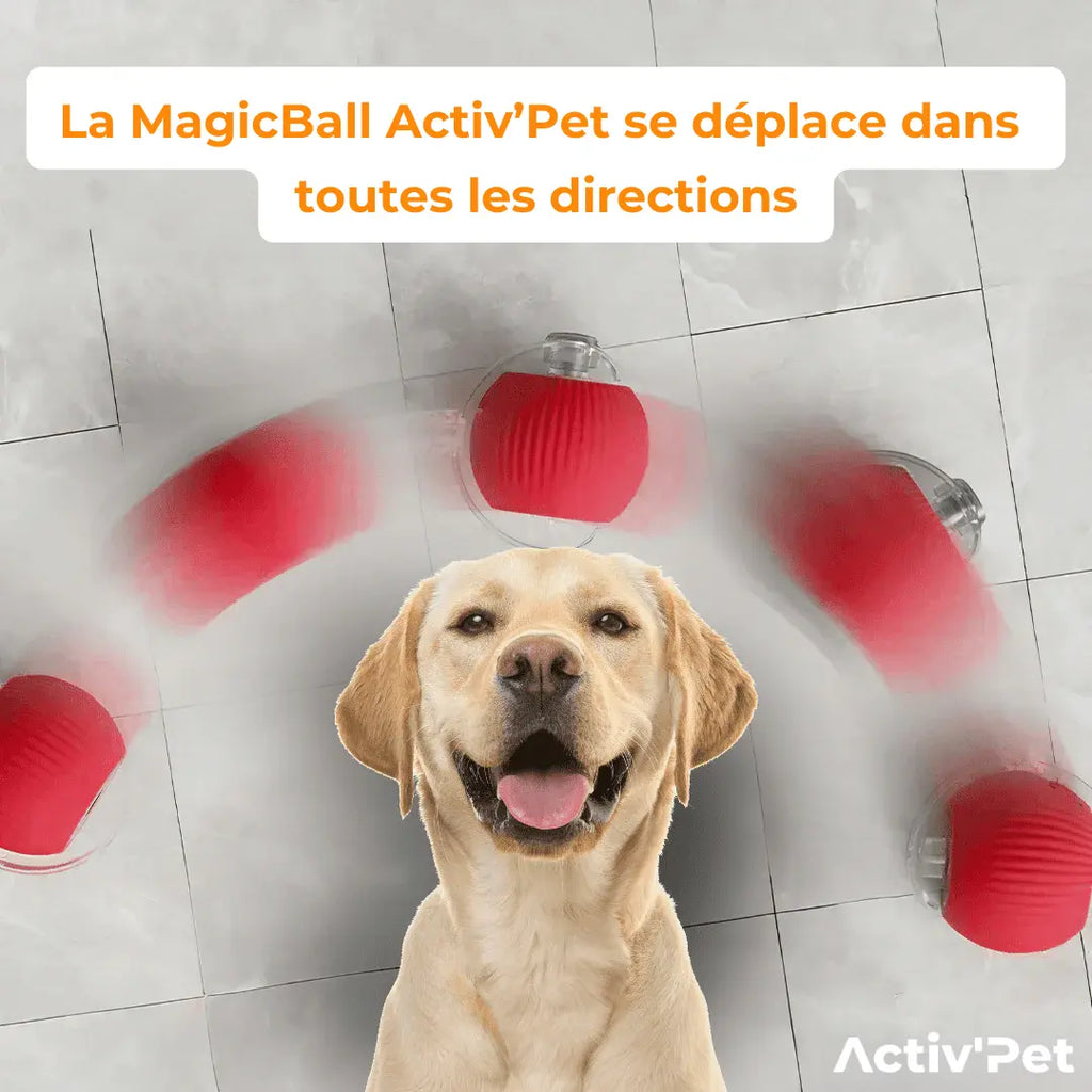 NOVA™ MagicBall — Interaktiv Hundboll
