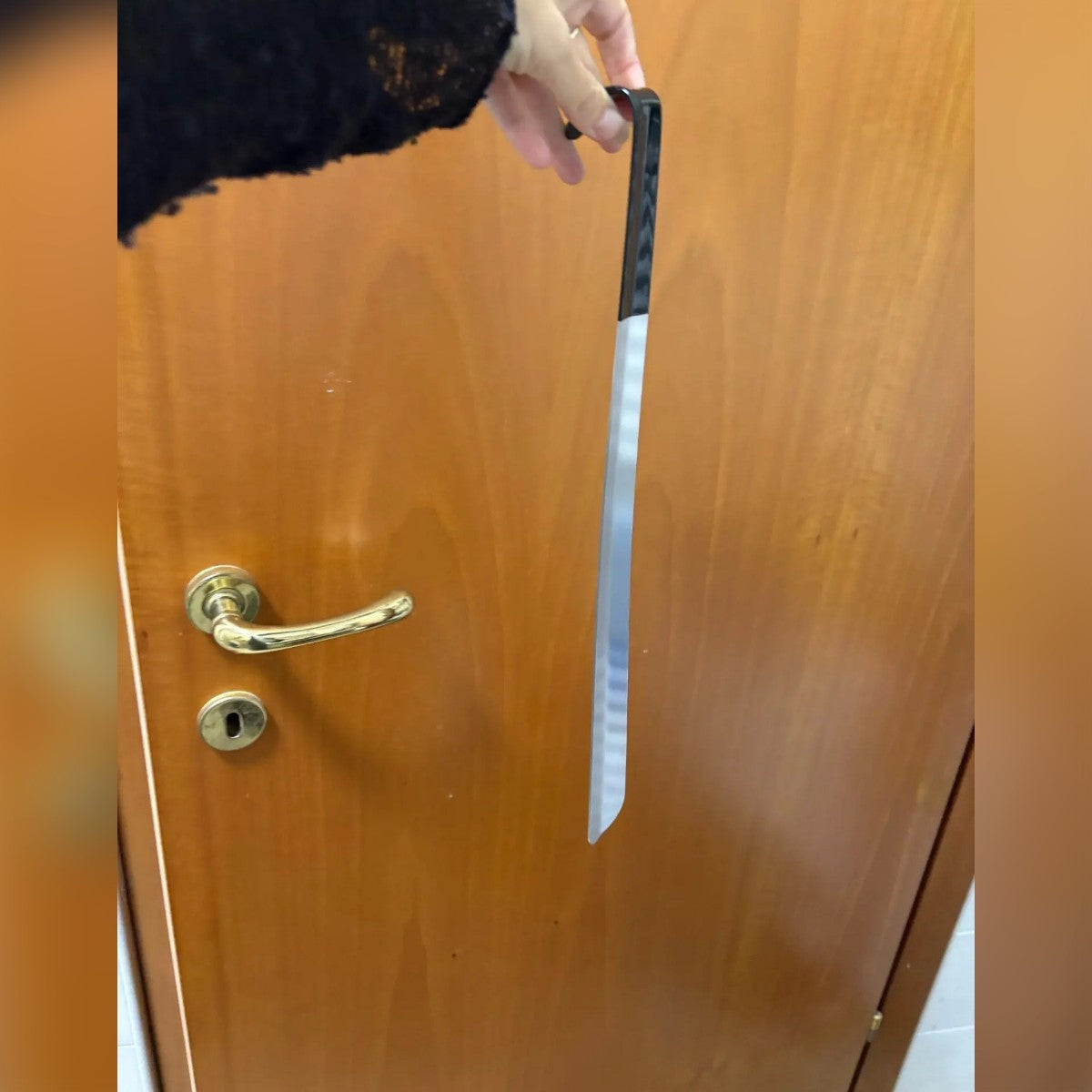Skohorn i rostfritt stål – 42 cm med svart handtag